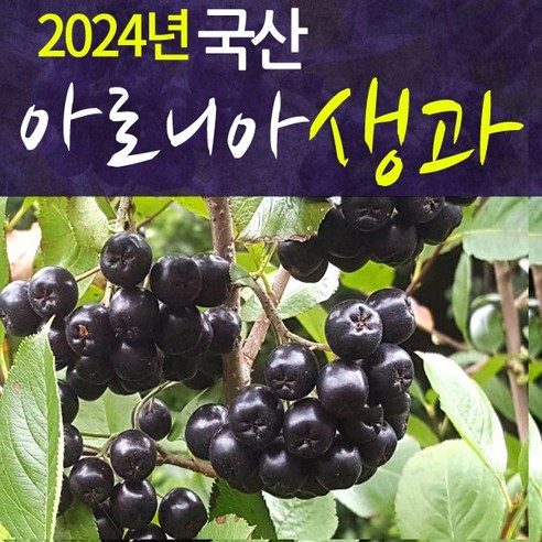국내산 아로니아 생과 5kg 생 열매/전북 장수/농장 직접 판매, 1개