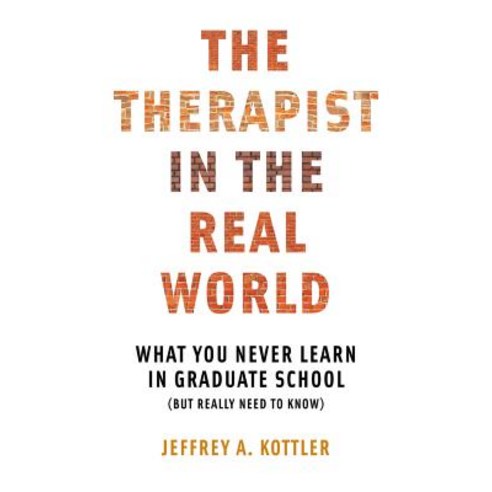 The Therapist in the Real World: What You Never Learn in Graduate School (But Really Need to Know) Paperback, W. W. Norton & Company