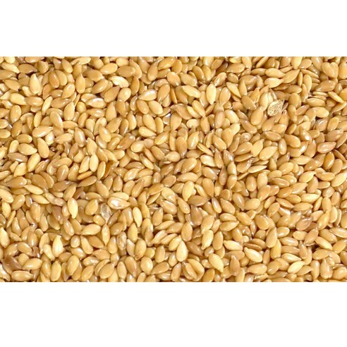 볶은아마씨/캐나다산 1kg, 1kg, 1개
