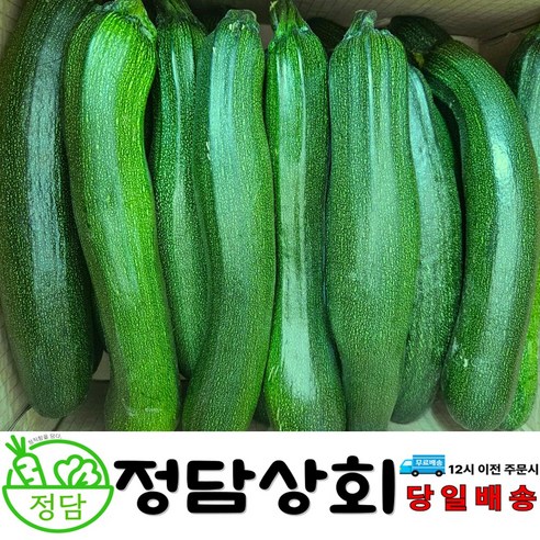 [ 정담상회 ] 국내산 쥬키니호박 주키니호박 못난이호박 3KG 5KG 10KG내외, 1박스, 3kg