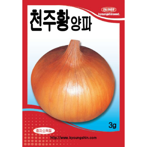 양파씨앗 천주황양파 3g /저장성과 고구형의 우수한 양파종자 소포장, 1개