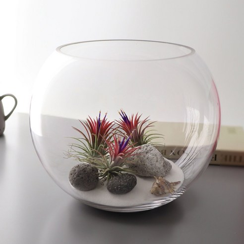 수중 세계의 아름다움을 엽니라: 잎새리빙 볼30 어항