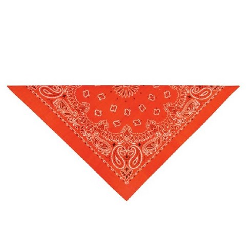 탑퍼포먼스 페이즐리 임포트 애완용 반다나, Orange, 1개