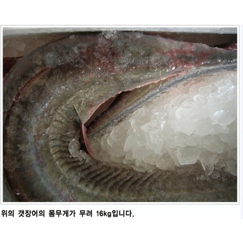 바다 갯장어, 하모, 참장어, 바다장어 15종 진액과 즙 세트 110ml 장어즙 바다 갯장어, 하모, 참장어, 바다장어 15종 진액과 즙 세트 110ml 장어즙