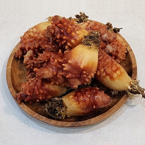 통멍게 1kg 6-10미 내외, 1개