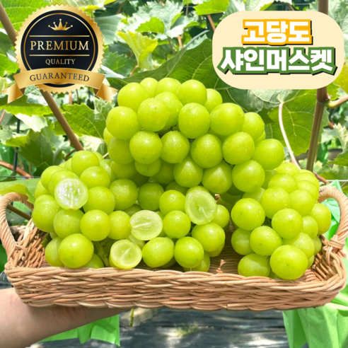 [고당도] 샤인머스켓 프리미엄 농장직송, 1개, 1kg(2수)