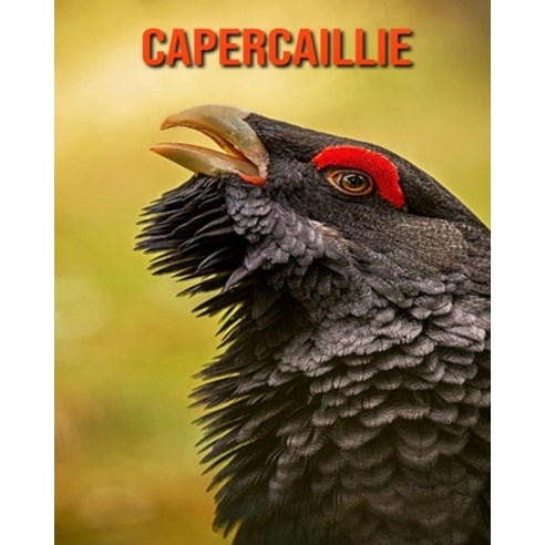 (영문도서) Capercaillie: Amazing Photos & Fun Facts Book About Capercaillie For Kids Paperback, Independently Published, English, 9798507366248