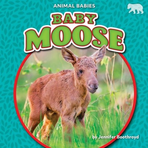 (영문도서) Baby Moose Library Binding, Bearcub Books, English, 9781636913575