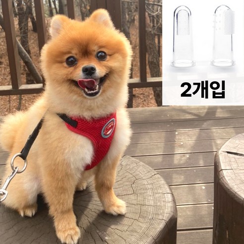 멍티케어 부드러운 실리콘 손가락 강아지 칫솔, 2개입, 화이트