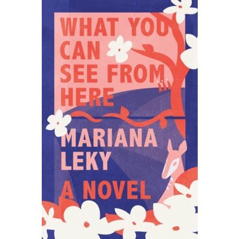 What You Can See from Here Hardcover, Farrar, Straus and Giroux, English, 9780374288822