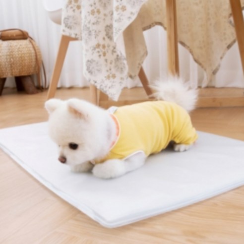 사계절연구소 친환경 냉수 강아지 고양이 애견 쿨매트 쿨방석 여름 매트 대형 중형 여름용, 4.강아지 쿨방석 1+1, 화이트그레이, 1개
