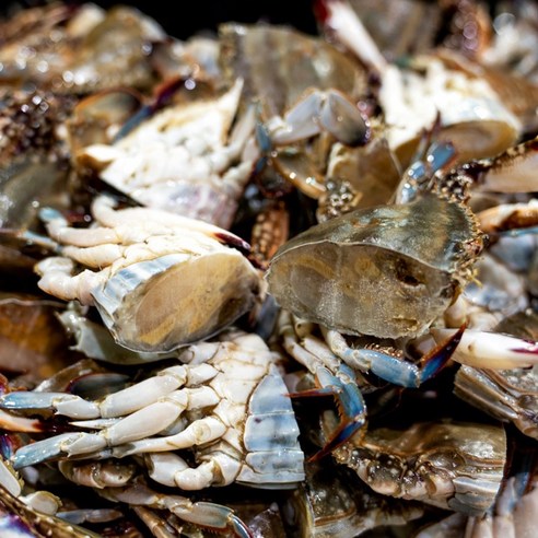 해일수산 국내산 남서해안 암수혼합 절단꽃게 300g(4-6쪽), 1개