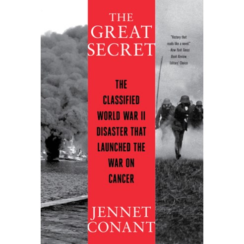 (영문도서) The Great Secret: The Classified World War II Disaster That Launched the War on Cancer Paperback, W. W. Norton & Company, English, 9780393868432