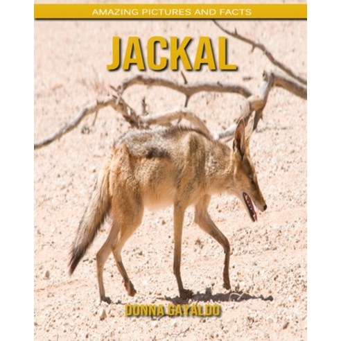 Jackal: Amazing Pictures and Facts Paperback, Independently Published