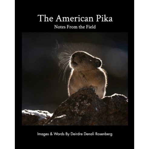 (영문도서) The American Pika: notes from the field Paperback, Blurb, English, 9781006269752