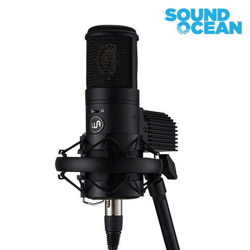 웜오디오 WA-8000 진공관 콘덴서 마이크