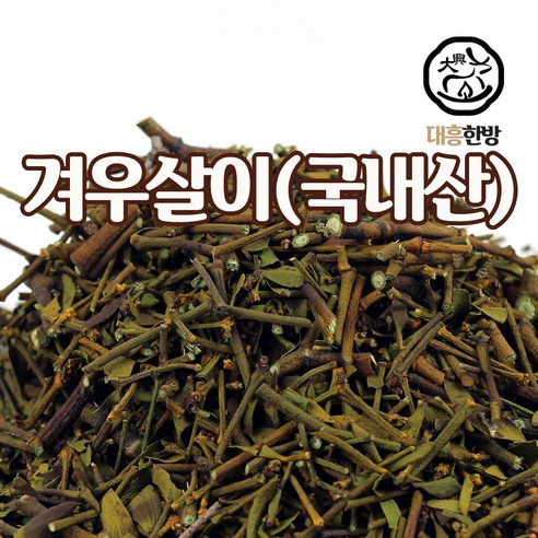 대흥한방 겨우살이 300g 국내산, 1개