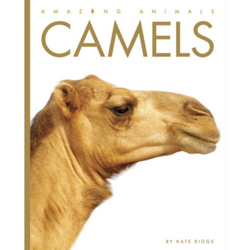 (영문도서) Camels Library Binding, Creative Education, English, 9781640265417