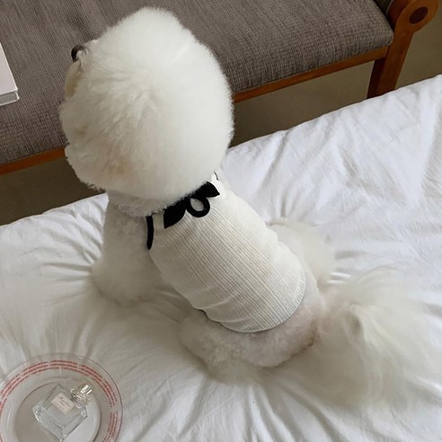 쪼꼬마미 강아지옷 리본 나시 여름옷 티셔츠, 1개, 화이트