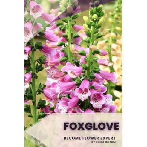 (영문도서) Foxglove: Become flower expert Paperback, Independently Published, English, 9798391097532