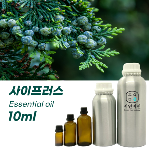 필수 입력 항목입니다. 사이프러스 - 10ml PURE 100% 효능 천연 허브 아로마 원액 에센셜오일