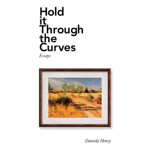 Hold It Through the Curves: Essays Paperback, Xlibris Us