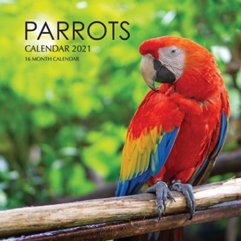Parrots Calendar 2021: 16 Month Calendar Paperback, Independently Published