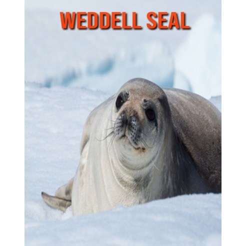 Weddell Seal Fun Learning Facts About Weddell Seal Paperback   Bed020b2f3c88fa5b07ded74ccbdb60944fdb6fbbe0cd87f9ad59dd7c37d 