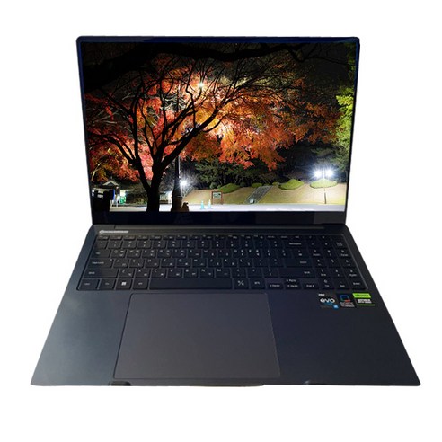 삼성 갤럭시북3 울트라 NT960XFH-XD90G + SSD 512GB 추가, WIN11 Home, 32GB, 1024GB, 코어i9, 그라파이트