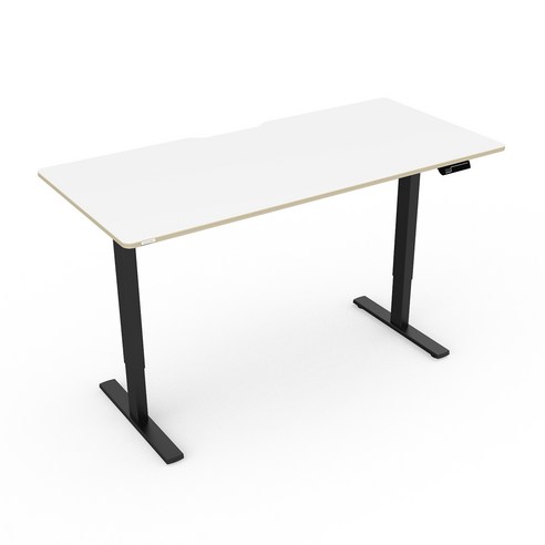 핏쳐 전동식 모션 데스크 스탠딩책상 커스터마이징 E1 Plus, 화이트, 화이트