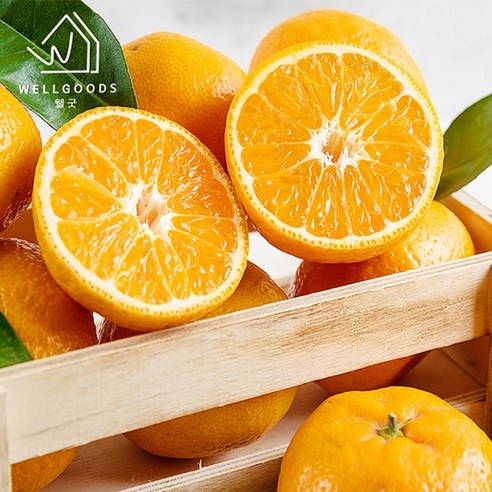 [웰굿] 산지직송 제주 달콤한 하우스 감귤 2.5kg(소과 2S-S), 없음, 1개