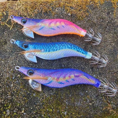 한치와 갑오징어를 위한 최적의 에기 선택