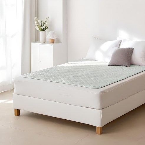 HanilMedical 탄소열선 프리미엄 전기요 HL-S214(23), 민트그린, 중(100 x 180 cm)