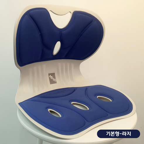 Mirsh 인체공학 바른자세 등받이 자세교정의자, 블루