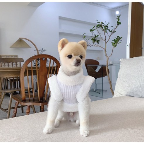 인견 배자 반려동물 한복, 겨울용, 멋진 배자 패턴, 원피스 형태, 무늬 있음