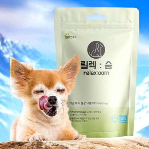 사랑하는 반려견의 편안한 숨소리를 위한 선물, 릴렉숨