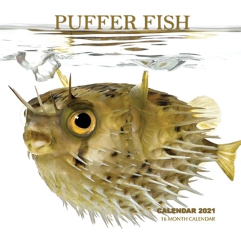Puffer Fish Calendar 2021: 16 Month Calendar Paperback, Independently Published, English, 9798576671649