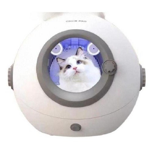 댕댕이 & 냥냥이 뽀송 발랄 완성! 펫 털 말리기, 이제는 간편하게!