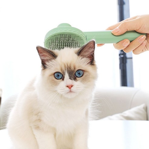 아루카 죽은털 제거 강아지 고양이 힐링템 원터치 브러쉬, 1Ea, 애플민트
