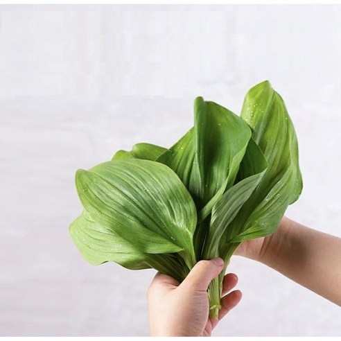 강원도 명이나물 1Kg 생채 생명이 산마늘 산지직송, 대명이, 1박스
