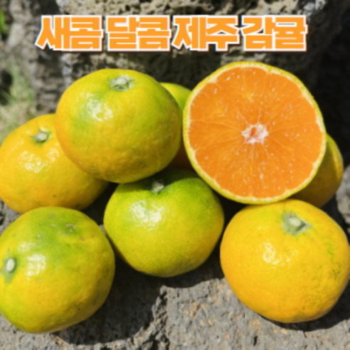 [제철365] 새콤달콤 제주도 귤, 1개, 5kg(로얄)