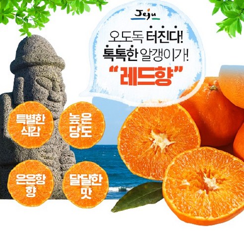 서귀포 농원 고당도 레드향 천혜향 3kg/5kg/10kg 선물포장, 레드향 3kg 중과 (11-17과)가정용