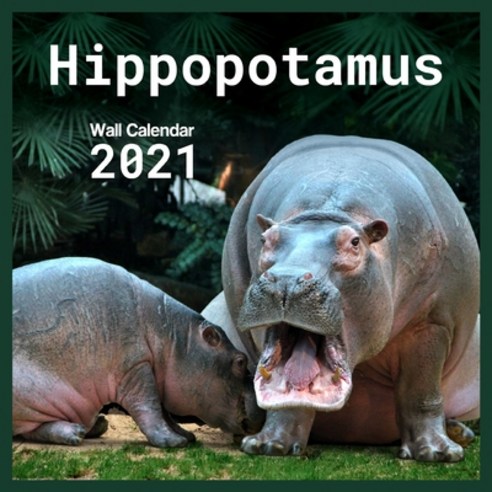 Hippopotamus 2021 Wall Calendar: calendar 8.5 x 8.5 glossy paper 16 Month Calendar Animal 2021 hippo... Paperback, Independently Published, English, 9798551055976