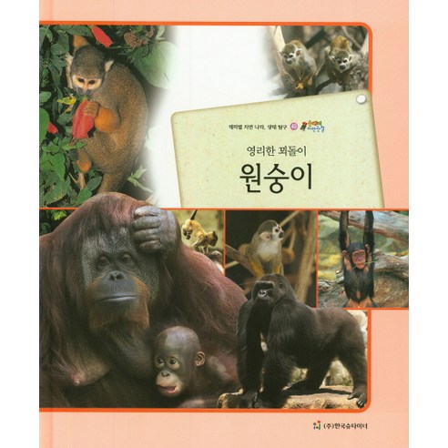 영리한 꾀돌이 원숭이:테마별 자연 나라 생태 탐구, 한국슈타이너