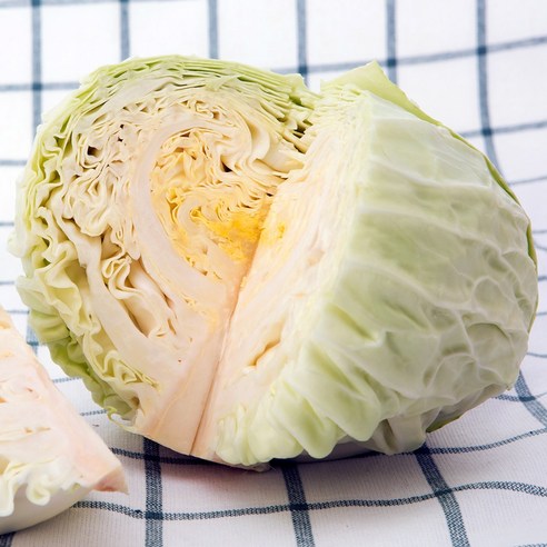 아삭한 식감 갓 수확한 신선함 가득 제주 양배추, 1개, 3kg