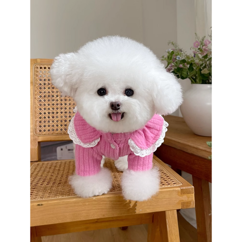 [모모상점] mi no.0912-01 반려견 애완 동물 의류 가을 겨울 니트 스웨터 레이스 가디건 개옷, 핑크