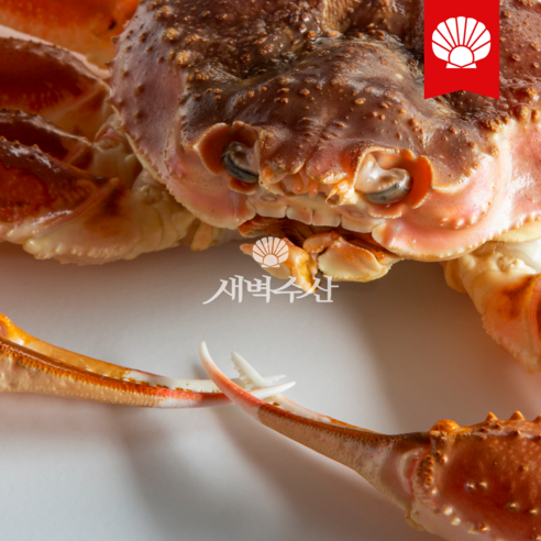 새벽수산의 특A급 러시아 대게: 품질과 맛의 향연