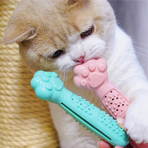 고양이 이갈이 장난감 양치 칫솔 먹이퍼즐 캣닢 가루 포함, 민트