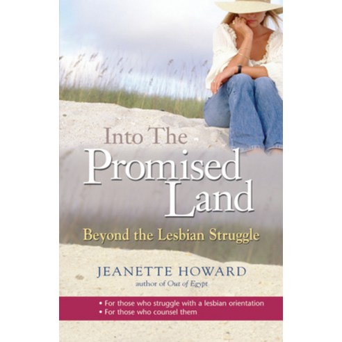 (영문도서) Into the Promised Land Paperback, Lion Hudson Limited, English, 9781854246769