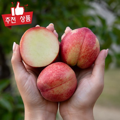 농협판매 천도복숭아 뺀질이 신선복숭아 신비복숭아, 1개, 중소과 2kg